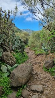 2024-01-GranCan-Barranco_de_los_Cernicalos-009.jpg